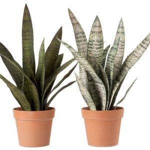 Faux Sansevieria in Pot Small