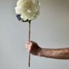 Artificial White Peony Stem