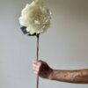 Artificial White Peony Stem