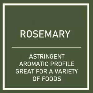 Rosemary Hydro Herb Kit