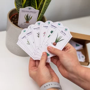 House Plant Tags