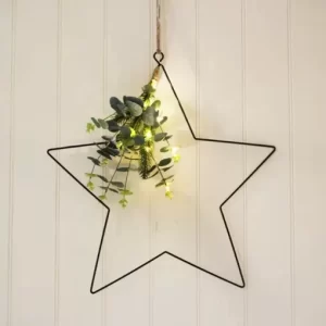 Black Wire Hanging LED Star with Ecalyptus 30cm