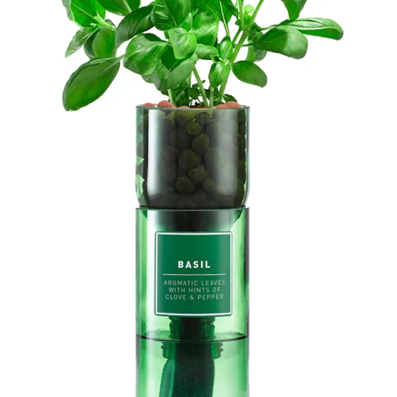 Dark Basil Hydro Herb Kit