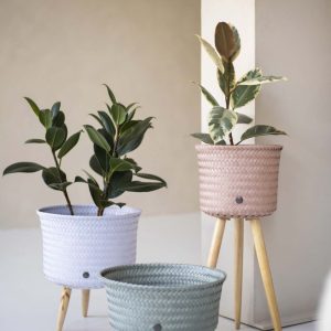 Plant Basket Stand