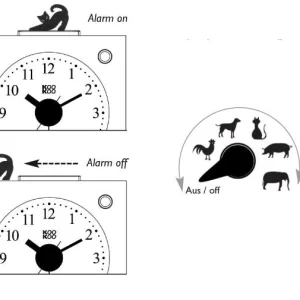Kookoo Kids Alarm Clock