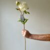 White Real Feel Peony