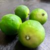 Artificial Lime Decoration