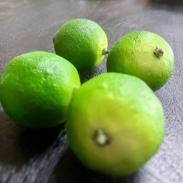 Artificial Lime Decoration