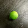 Artificial Lime Decoration