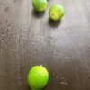 Artificial Lime Decoration