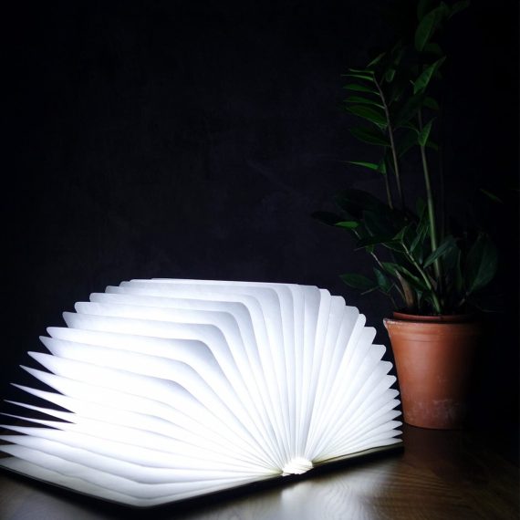 LED Smart Book Light Walnut