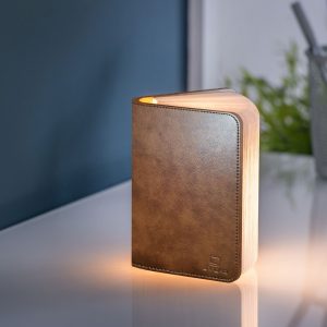 Brown Leather Mini LED Smart Book Light