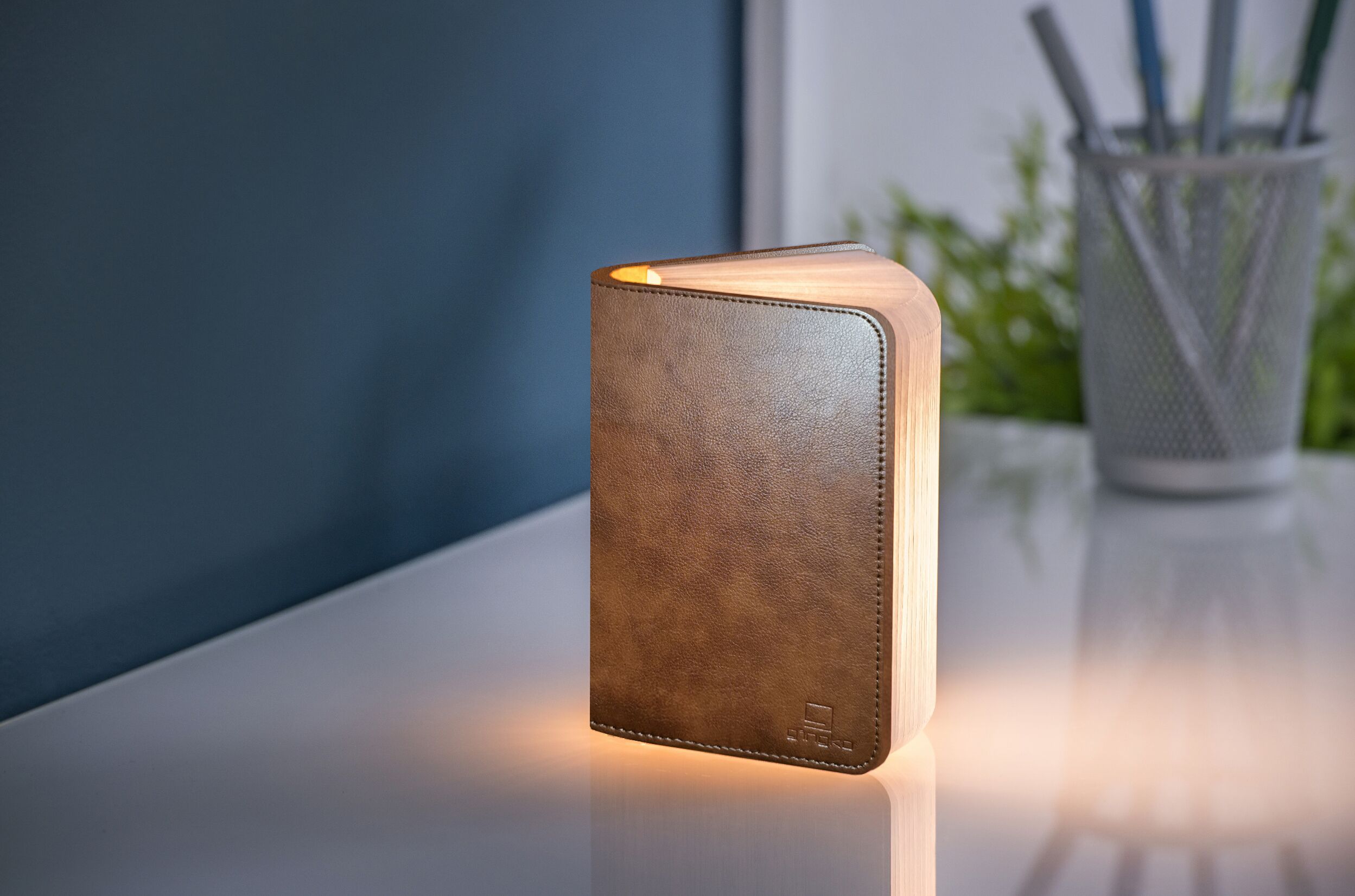 Brown Leather Mini LED Smart Book Light