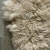 Curly Tibetan Sheepskin Rug Birch