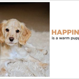 Greetings Card-Happiness is a Warm Puppy