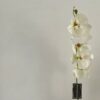 Single Stem White Orchard