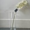 Single Stem White Orchard