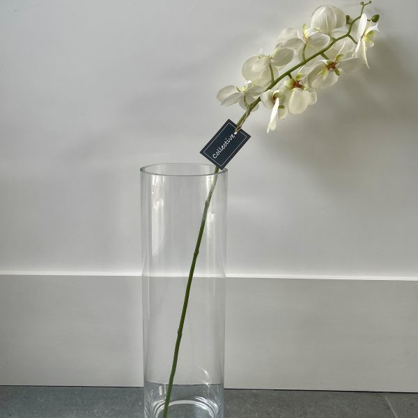 Single Stem White Orchard
