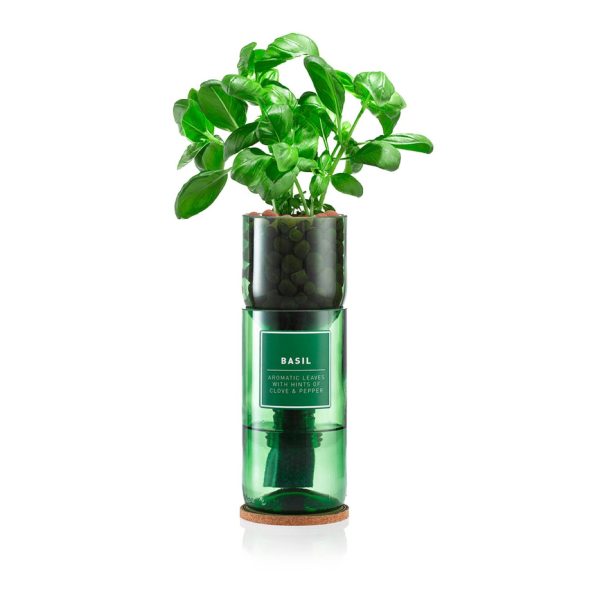 Basil Hydro Herb Kit