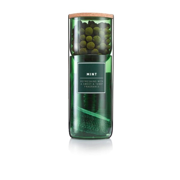 Mint Hydro Herb Kit