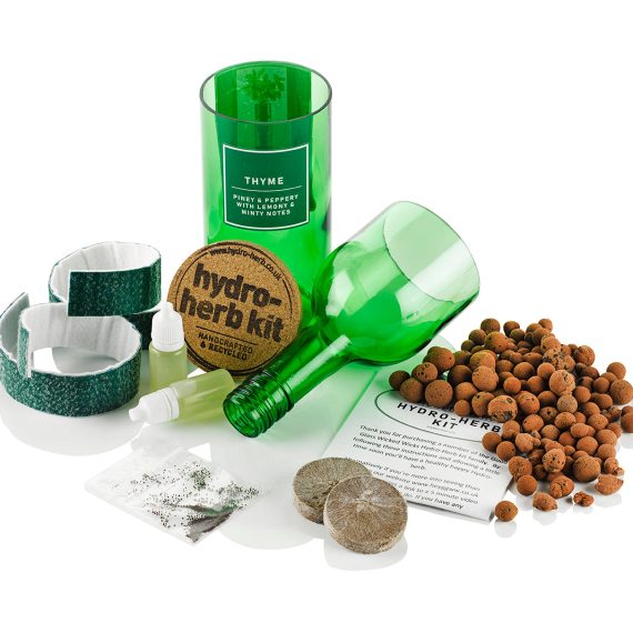 Thyme Hydro Herb Kit