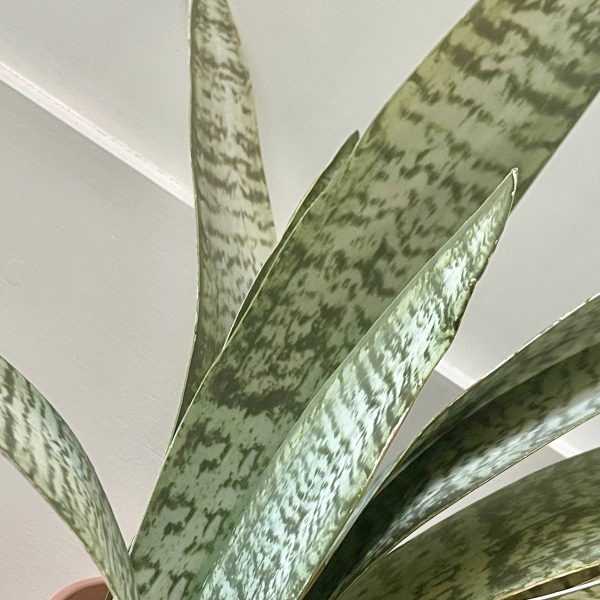Artificial Potted Sansevieria