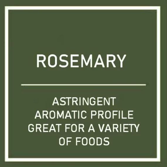 Rosemary Hydro Herb Kit