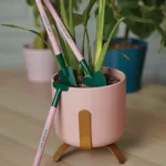 Mini Houseplant Tools