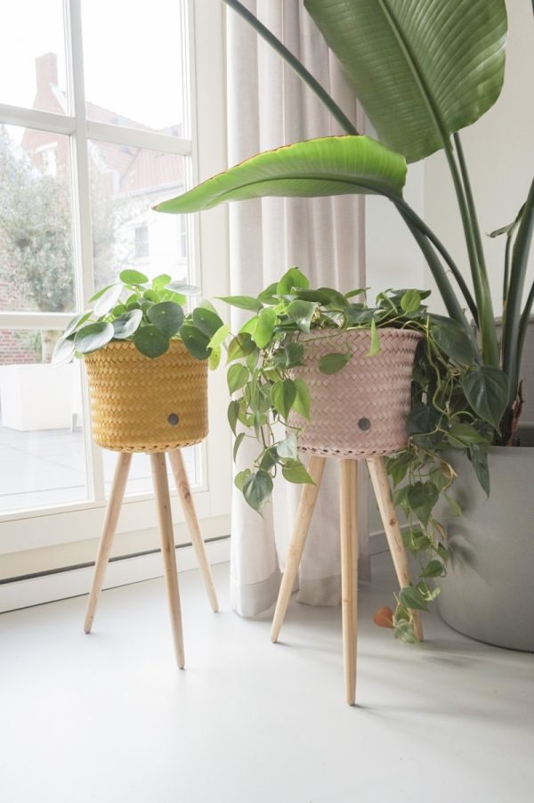 Mustard Up High Plant Basket Stand