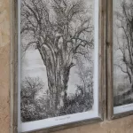 Brookby Set of 2 Old Tree Wall Art
