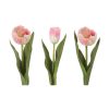 Tulip Light Pink Mix