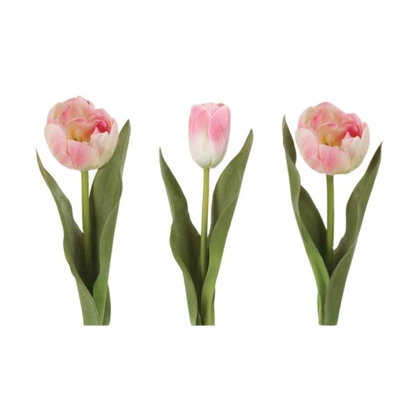 Tulip Light Pink Mix