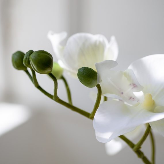 Faux Orchid White