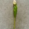 Artificial Light Pink Tulip Stem