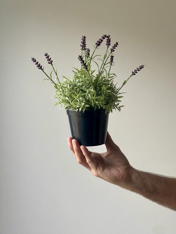 Artificial Lavender in Pot