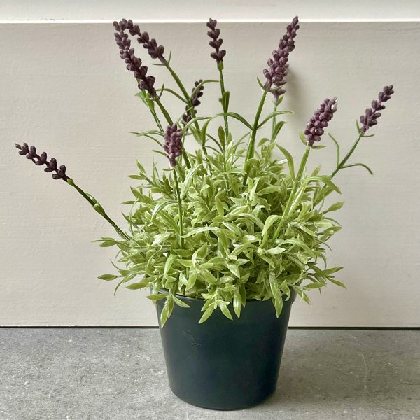 Artificial Lavender in Pot