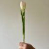 Artificial Light Pink Tulip Stem