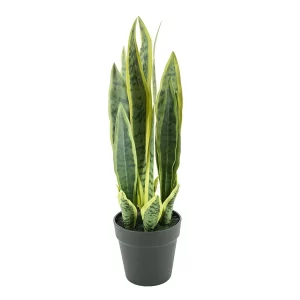 Faux Emerald Sansevieria in Pot