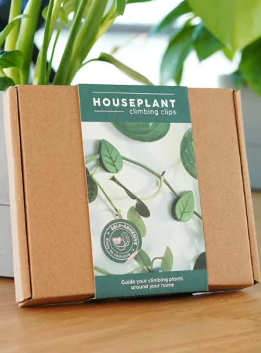 House Plant Climbing Clips