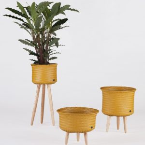 Mustard Up Low Plant Basket Stand