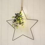Black Wire Hanging LED Star with Ecalyptus 30cm