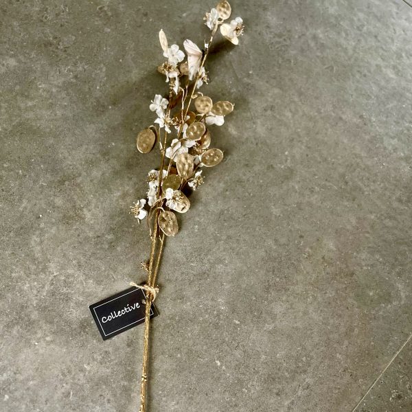 Ivory & Gold Honesty Stem