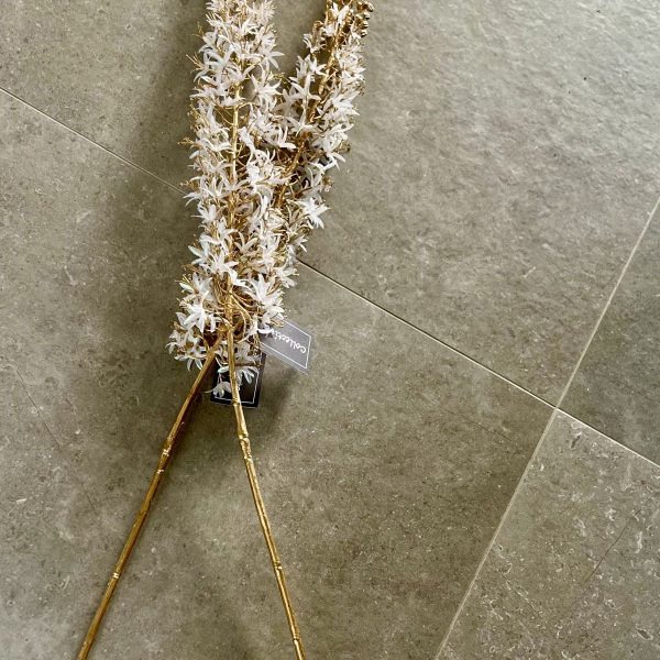 White and Gold Eremurus Spray
