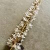 White and Gold Eremurus Spray