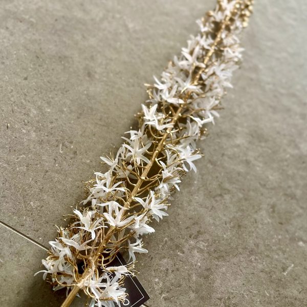 White and Gold Eremurus Spray