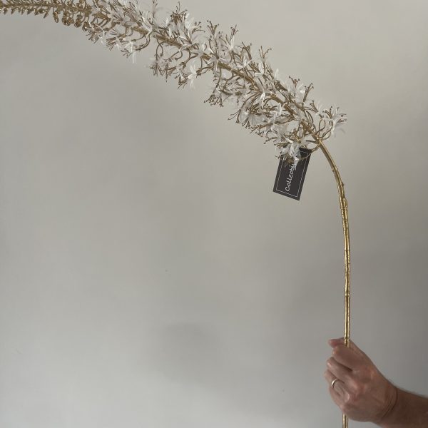 White and Gold Eremurus Spray