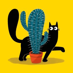 Cacti Cats Greetings Card