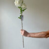 Artificial Soft Touch White Rose Stem