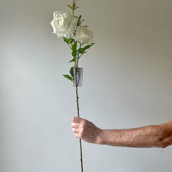 Artificial Soft Touch White Rose Stem
