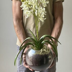 Artificial White Orchid in Glass Vase